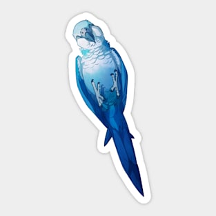 Playful Blue Spix Sticker